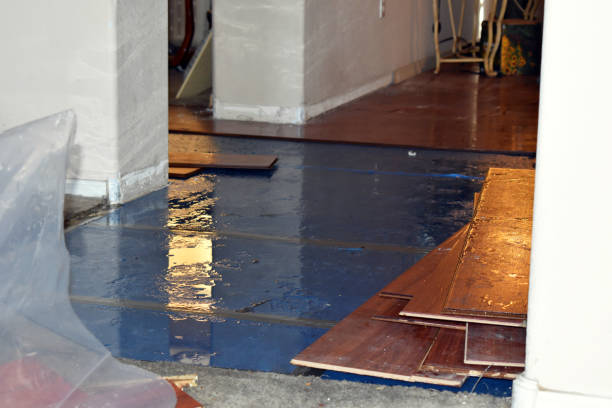 Professional Basement Flooding technician working in Bluffton, IN